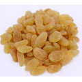 INDIAN DRY GRAPES (RASINS) 400 Gram