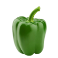PEPPER GREEN BELL